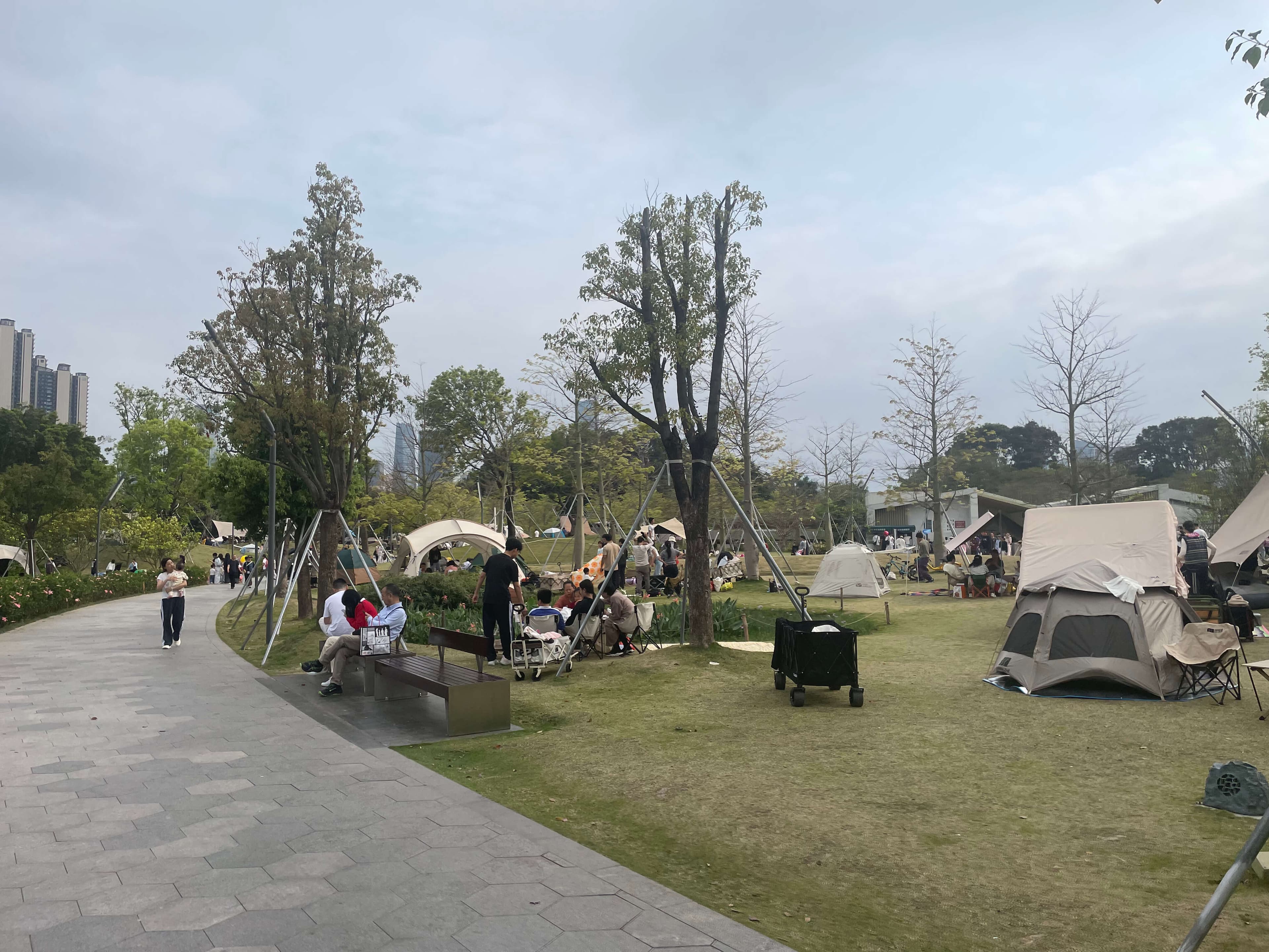 深圳周末徒步 - 银梅塘茶